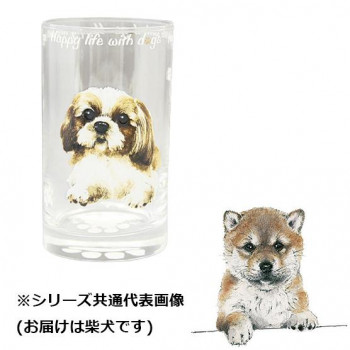 わんコレ ガラスタンブラー 柴犬 wa-gt-S13