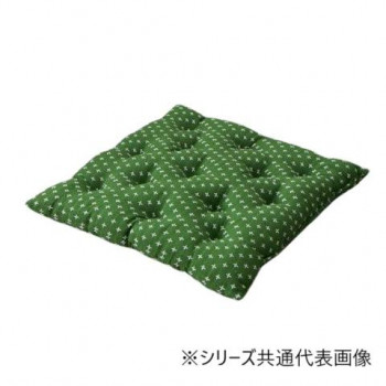 クッション 座布団 「詩織」 グリーン 45×45cm 1240880122204
