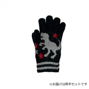 子供用手袋 恐竜 ティラノザウルス フリー ブラック(5) 004550624