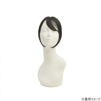プリシラ ちょびっと白髪かくし スタンダード ブラック ST-012-1N