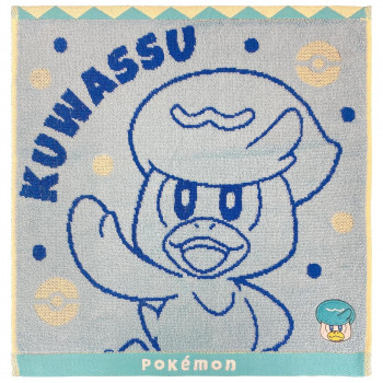 林(HAYASHI) ウォッシュタオル ポケモン WO207900