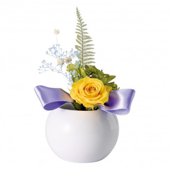 花来(かこ) プリザーブドフラワー 陶器付 サファイアイエロー 57n8008100002