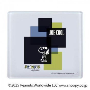 SNOOPY スヌーピー 捺印マットSN-5 TSK-16387
