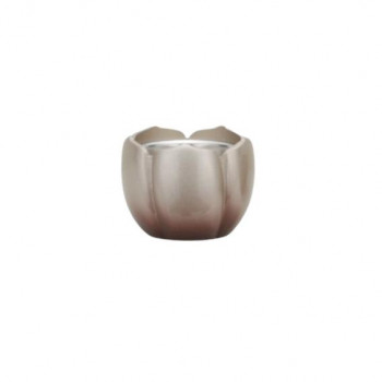 ALTE MEISTER　アルテマイスター　仏具　ももか　茶湯器　　銀茶　49535