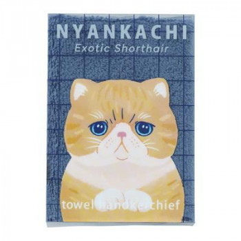 りぶはあと　にゃんかち　ハンカチタオル　エキゾチックショートヘア　44009-63