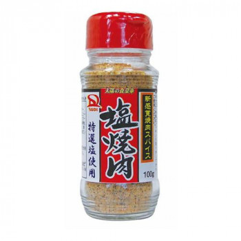 サンダイナー食品 粉末調味料 塩焼肉 100g 40本 234