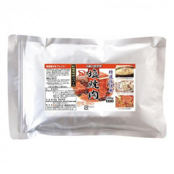 サンダイナー食品 粉末調味料 塩焼肉 500g 10枚 208
