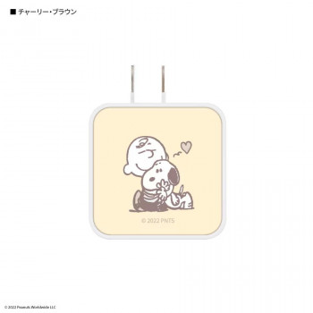 ピーナッツ スヌーピー USB/USB Type-C ACアダプタ C.チャーリー・ブラウン SNG-718C