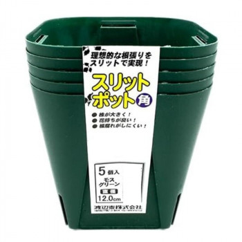 渡辺泰 スリットポット角12cm 5個入 モスグリーン