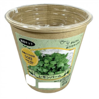 フォレスト かんたんおうちキッチン レモンバーム