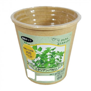 フォレスト かんたんおうちキッチン イタリアンパセリ