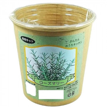 フォレスト かんたんおうちキッチン ローズマリー