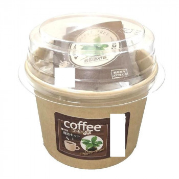 フォレスト コーヒーの木 栽培セット