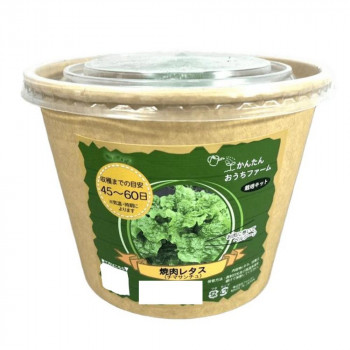 フォレスト かんたんおうちファーム 焼肉レタス