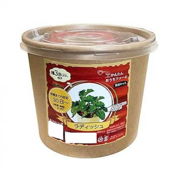 フォレスト かんたんおうちファーム ラディッシュ