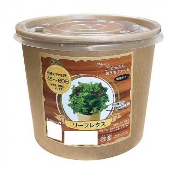 フォレスト かんたんおうちファーム リーフレタス
