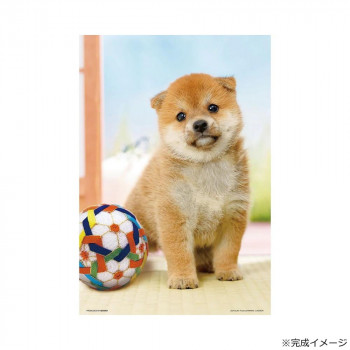 ビバリー ジグソーパズル Yusuke Yuzawa / ANIMAL LAGOON まんまる柴犬 300ピース 300-191