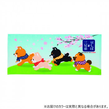 犬飼タオル MSIJ26A 豆しば三兄弟 フェイスタオル さくら 染料プリント