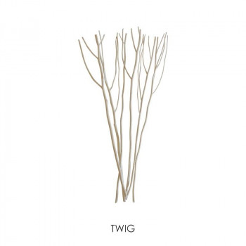 REED TWIG リード トゥイグ ディフューザー リードスティック 8本入 57840