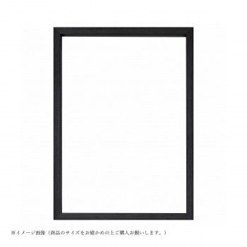 大額 BOXフレーム 7920 OA-B3 ブラック