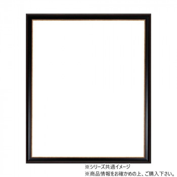 大額 軽量額縁 8169 太子  赤鉄