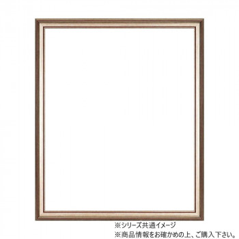 大額 軽量額縁 8169 大衣  シルバー