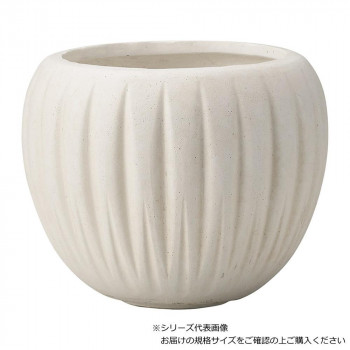 友膳 デンテリュールサークル MW G1031