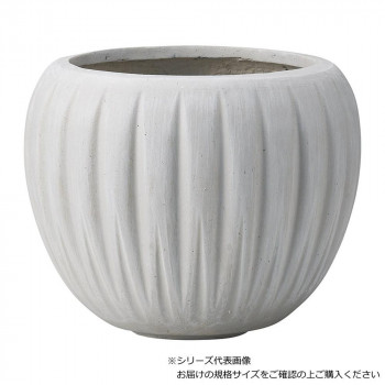 友膳 デンテリュールサークル SGY G1032