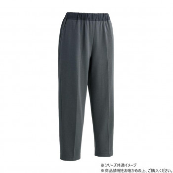 ケアファッション おしりスルッとカチオンライトパンツ (婦人) グレー S(股下55cm) 8988044