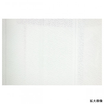 光と風を感じる断熱・保温障子レース　2枚組 90×200cm ホワイト SY5528N