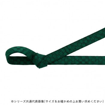 東京リボン 40972  いちまつゴム 約10mm×約16m 62 グリーン