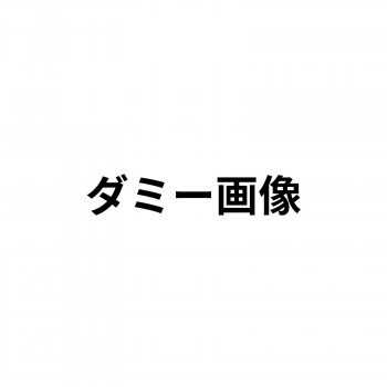 造形補修剤　プラリペア(R)　パウダー(粉)　100g P-100　赤